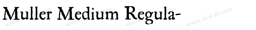 Muller Medium Regula字体转换